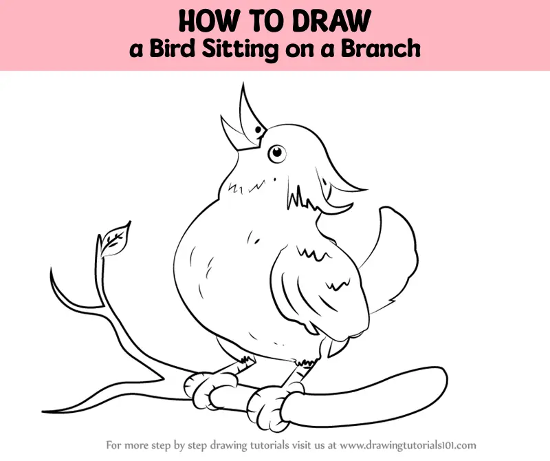 Bird On A Branch Stock Illustration - Download Image Now - Animal, Animal  Body Part, Animal Wildlife - iStock