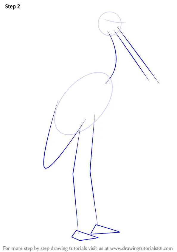 How to Draw a BlackNecked Stork (Birds) Step by Step