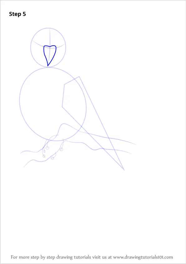 How to Draw a Blue Budgie (Birds) Step by Step | DrawingTutorials101.com