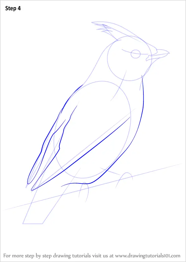 How to Draw Bohemian Waxwing (Birds) Step by Step | DrawingTutorials101.com