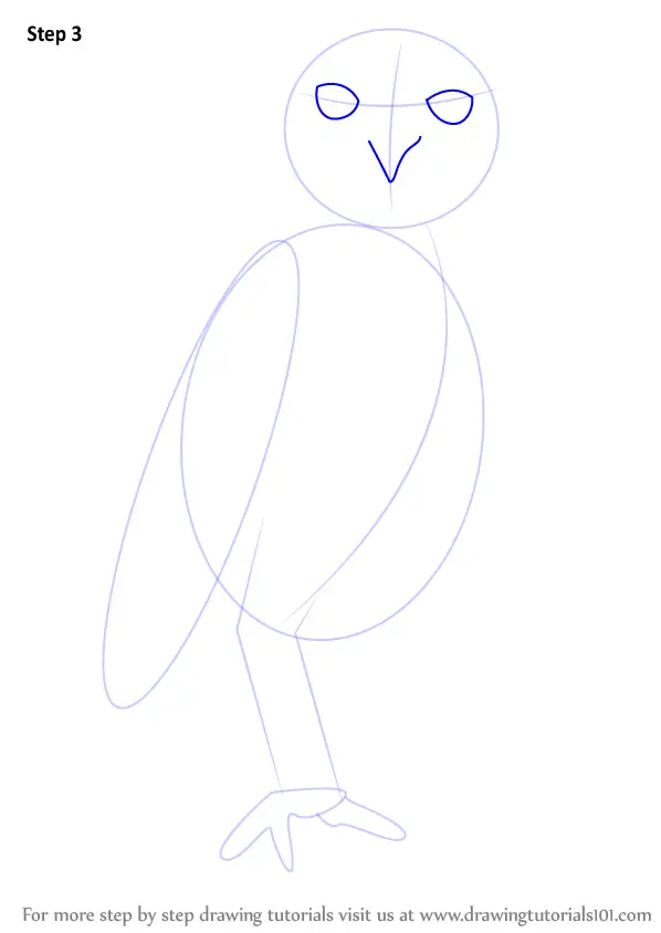 Best How To Draw A Burrowing Owl of all time Check it out now 