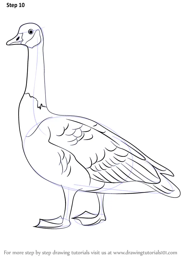 How To Draw A Goose
