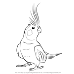 How to Draw a Cockatiel
