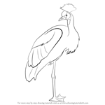 How to Draw a Crowned Crane