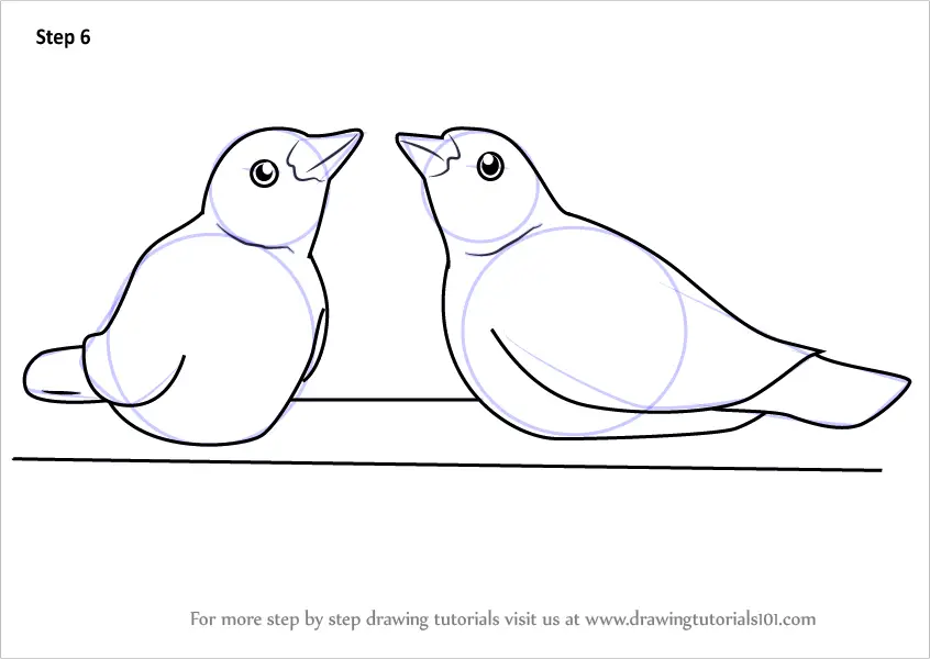 Step by Step How to Draw Cute Birds