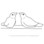 How to Draw Cute Birds