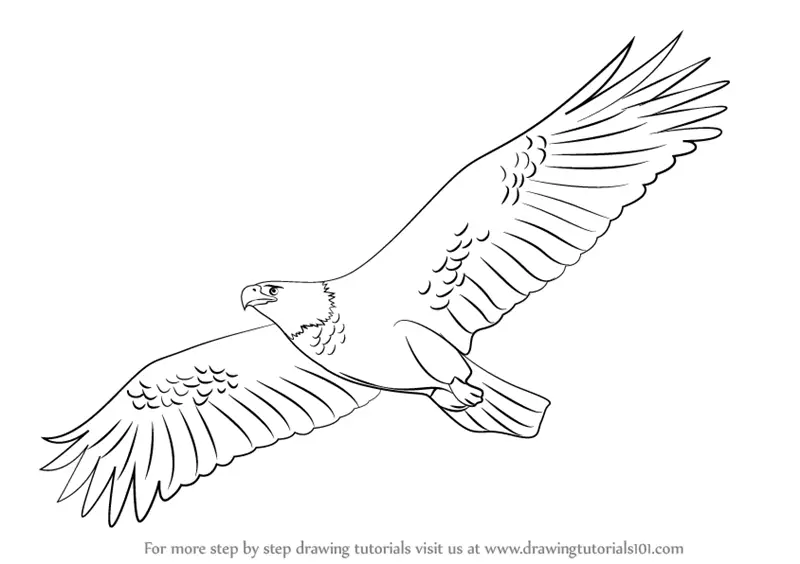 Guardian Eagle | Fairy Tail Wiki | Fandom