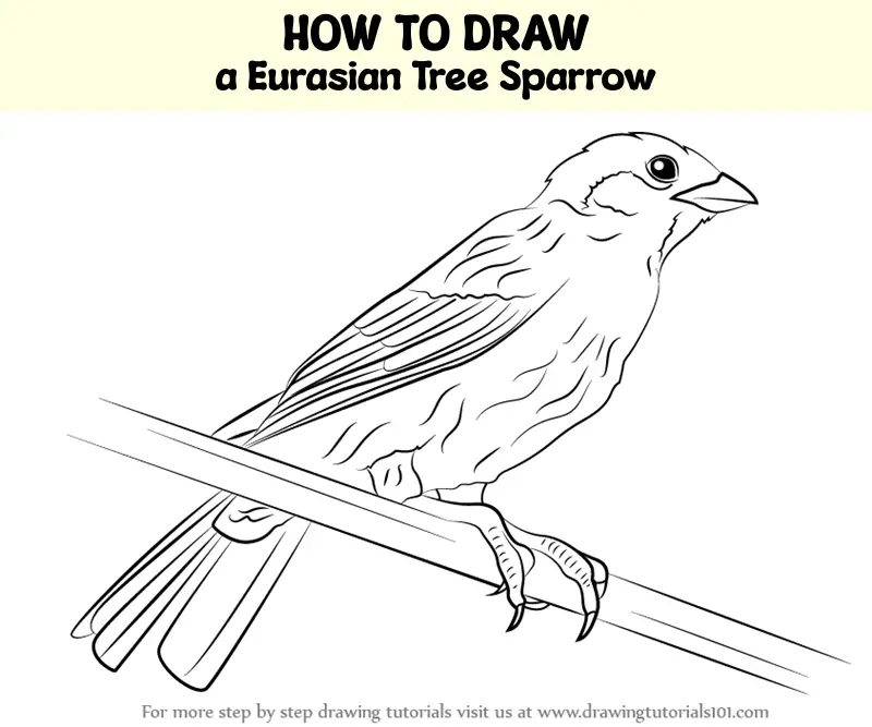 Simple cartoon a blue sparrow on white Royalty Free Vector