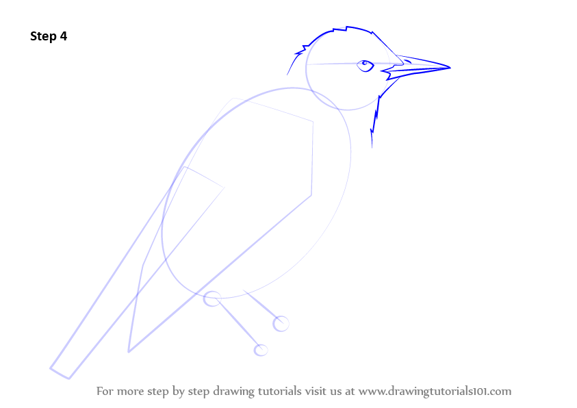 Download Learn How to Draw a European Starling (Birds) Step by Step : Drawing Tutorials