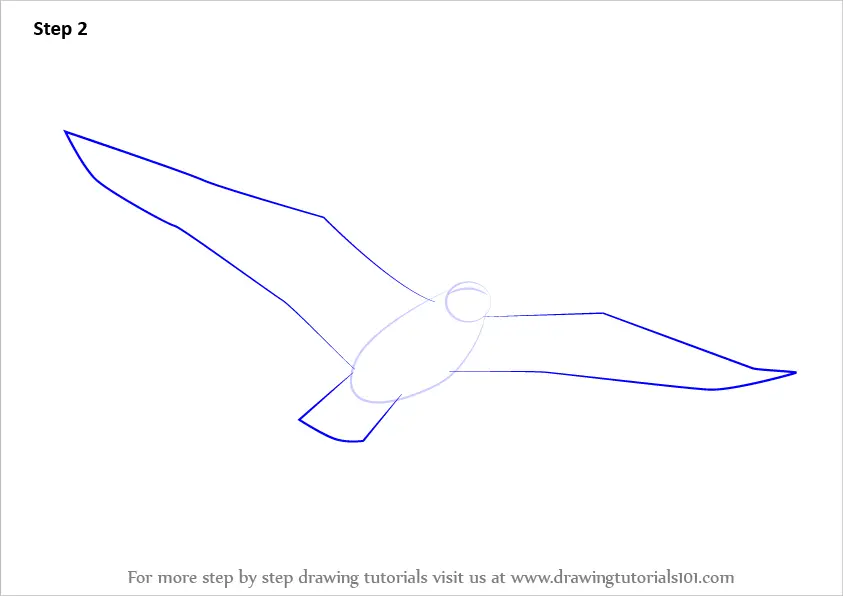 Learn How to Draw a Flying Bird (Birds) Step by Step Drawing Tutorials