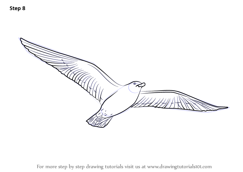 How To Draw A Flying Bird Birds Step By Step DrawingTutorials101