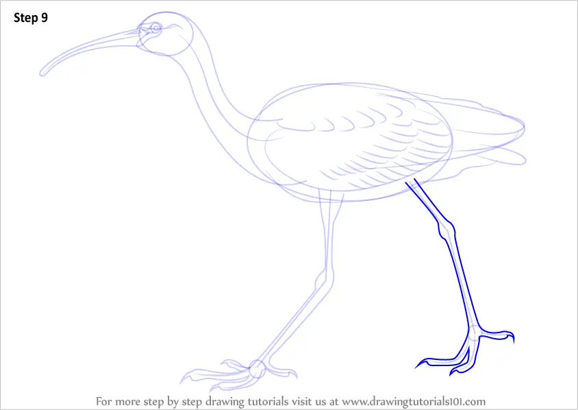easy ibis paint drawings