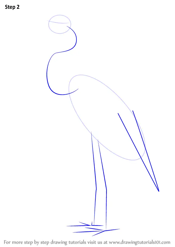 Learn How to Draw a Great Blue Heron (Birds) Step by Step : Drawing