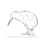 How to Draw a Kiwi