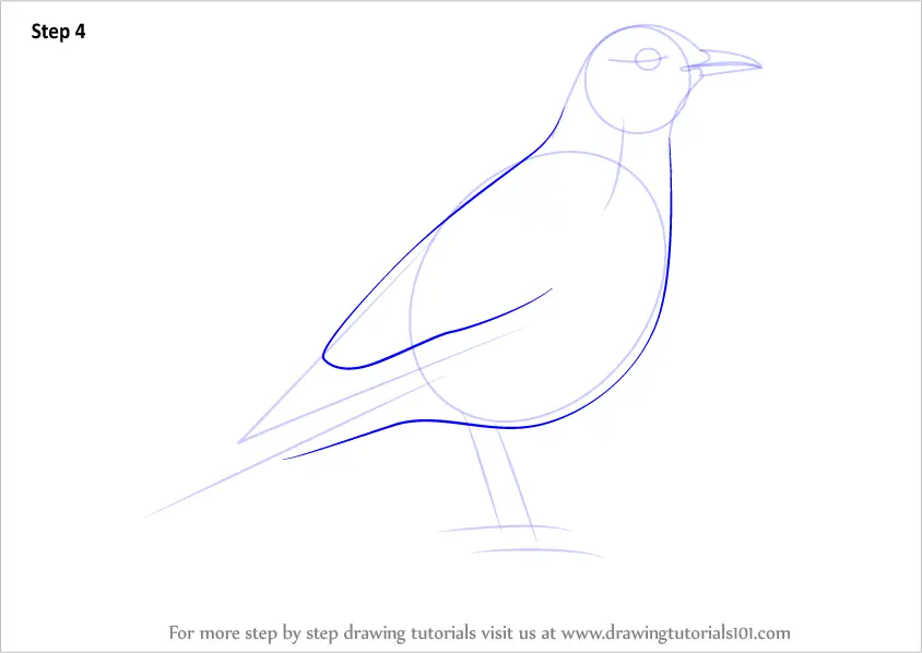 How to Draw a Mistle Thrush (Birds) Step by Step | DrawingTutorials101.com