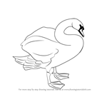 How to Draw a Mute Swan