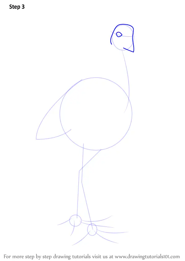 Learn How to Draw a Pukeko Birds Step by Step Drawing 