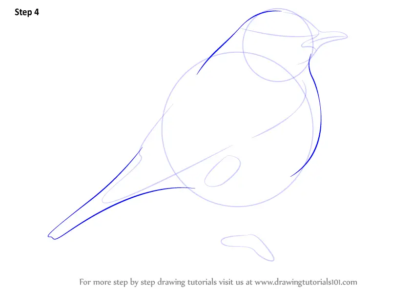 How to Draw a Redstart (Birds) Step by Step | DrawingTutorials101.com