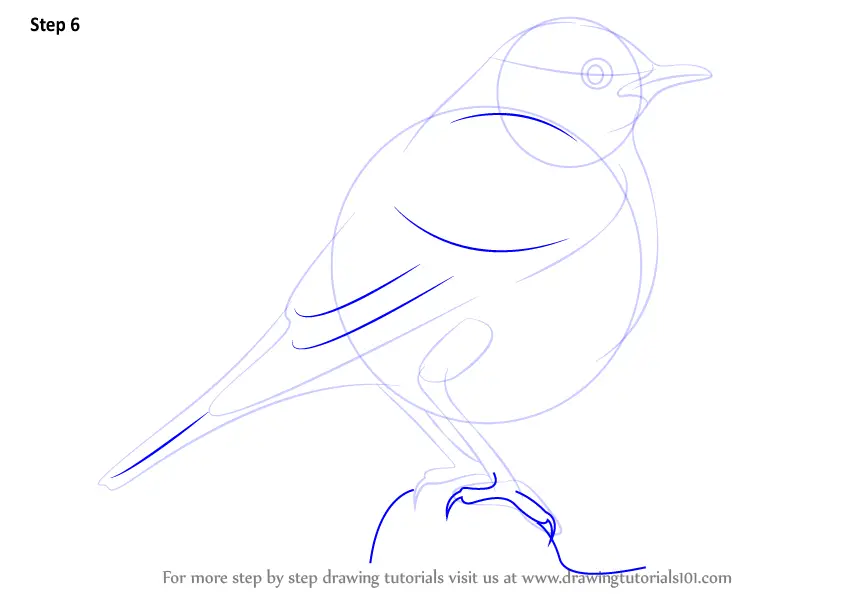 How to Draw a Redstart (Birds) Step by Step | DrawingTutorials101.com