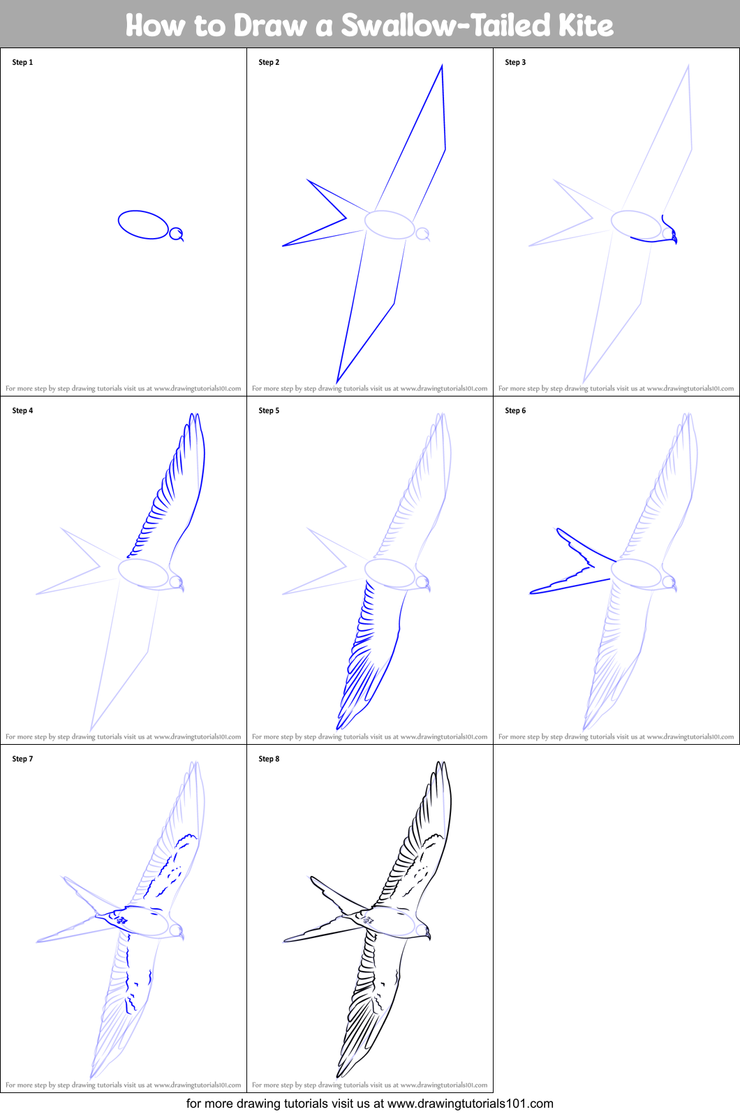 How to Draw a Swallow-Tailed Kite printable step by step drawing sheet