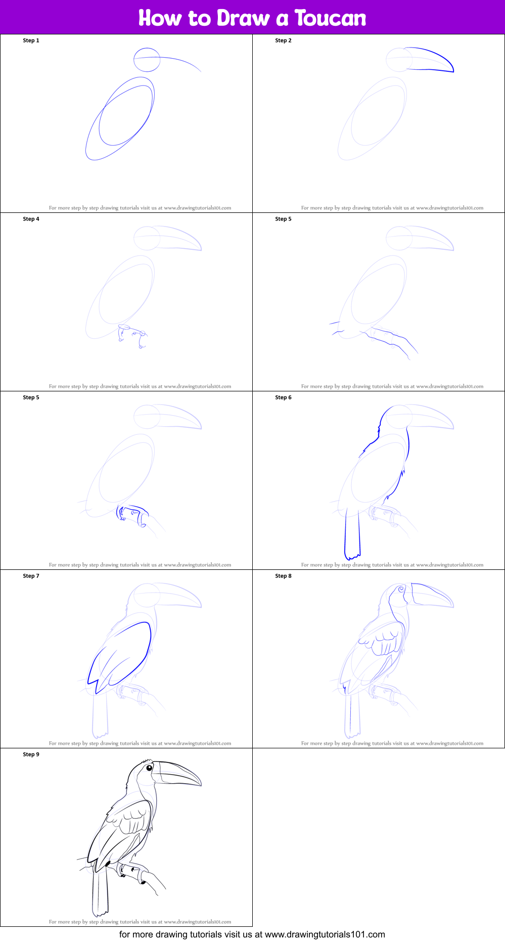 How to Draw a Toucan printable step by step drawing sheet