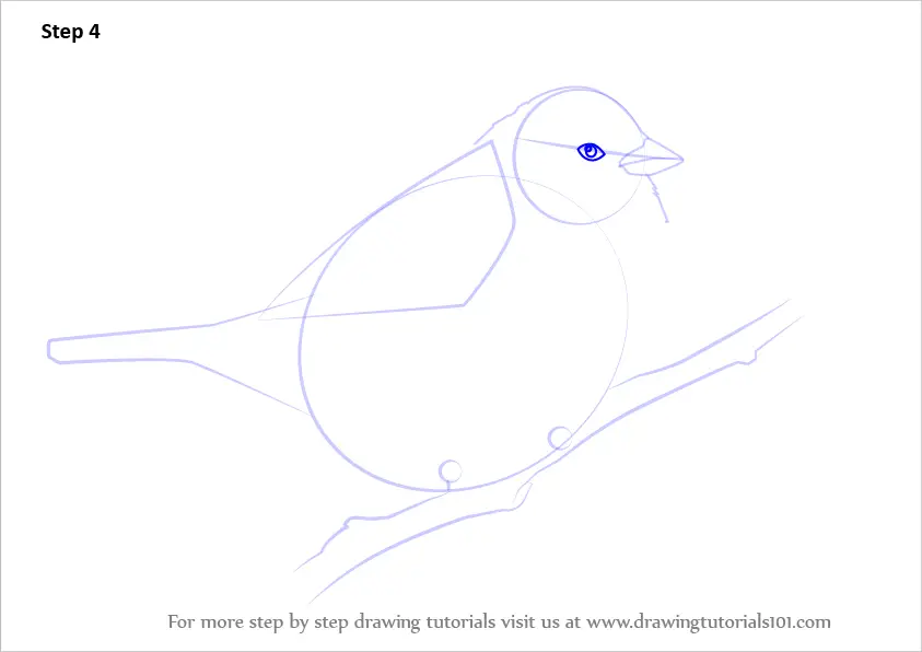 How to Draw a Tree Sparrow (Birds) Step by Step | DrawingTutorials101.com