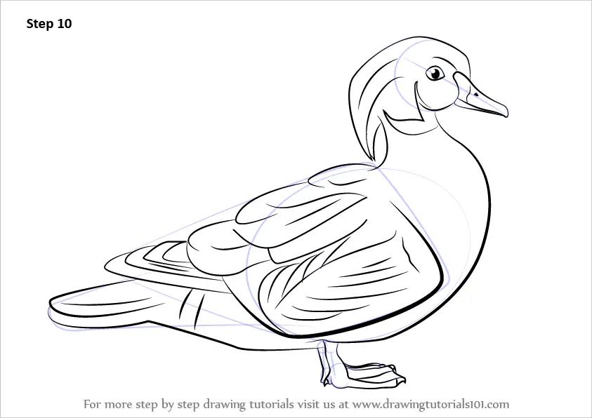 Duck Drawing  How to draw a Duck  YouTube