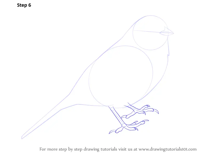 Download Step by Step How to Draw a Yellowhammer ...