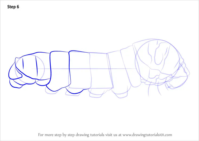 Learn How to Draw a Butterfly Larva (Butterflies) Step by Step