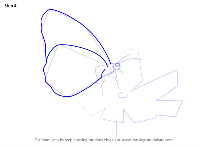 how to draw a butterfly on a rose
