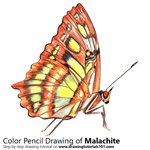 How to Draw a Malachite