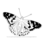 How to Draw a Painted Lady