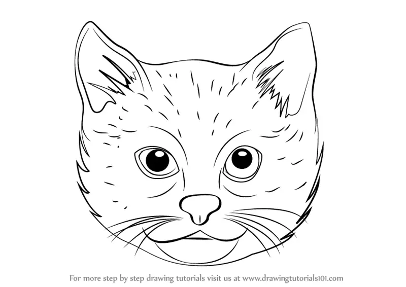 Learn How to Draw a Cat Face (Cats) Step by Step : Drawing Tutorials