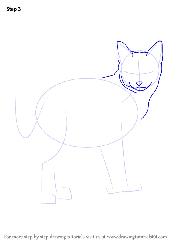 Learn How to Draw a Kitten (Cats) Step by Step : Drawing Tutorials