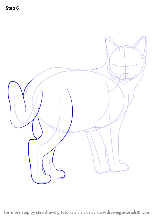 Learn How to Draw a Kitten Cats Step by Step Drawing Tutorials