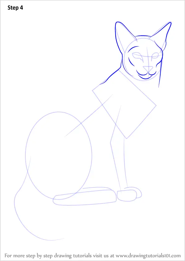 Learn How To Draw A Siamese Cat Cats Step By Step Drawing Tutorials