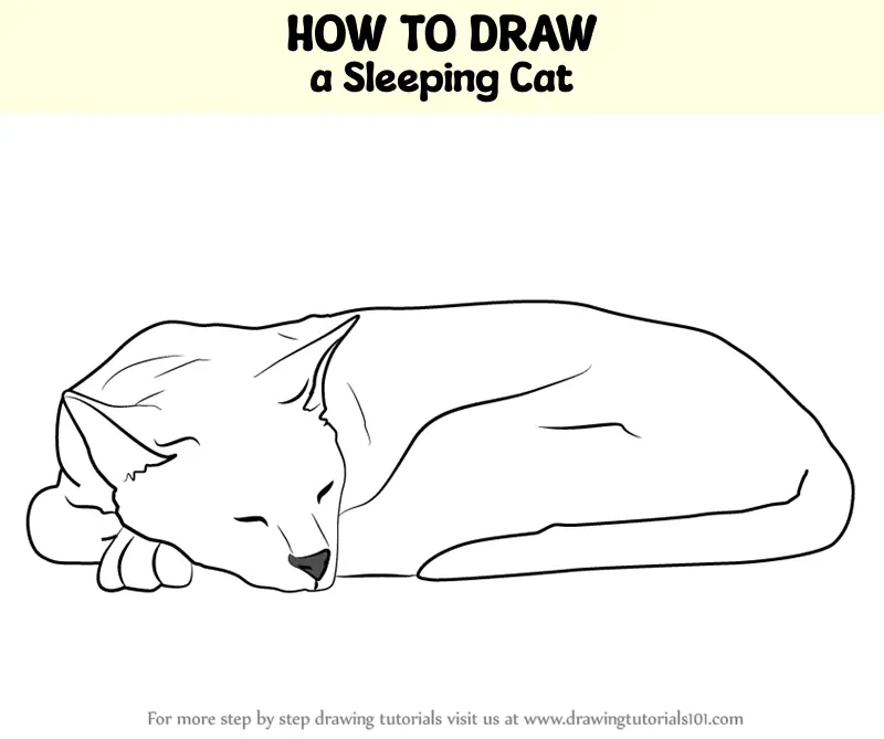 Hand Drawn Sleeping Cat Color Vector Illustration Animal Line Drawing  Vector, Cat Drawing, Animal Drawing, Wing Drawing PNG and Vector with  Transparent Background for Free Download