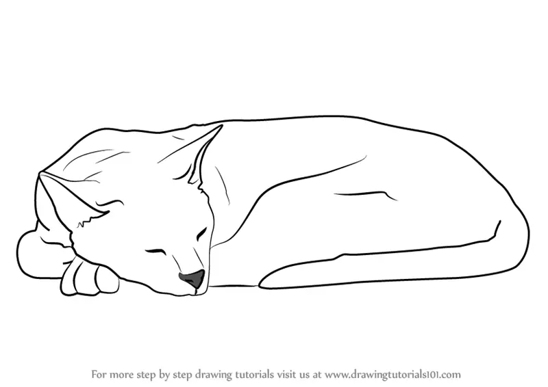How to Draw a Sleeping Cat (Cats) Step by Step