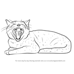 How to Draw Yawning Cat