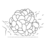 How to Draw a Bubble Coral