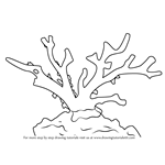 How to Draw a Red Coral