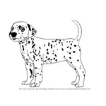 How to Draw a Dalmatian Dog