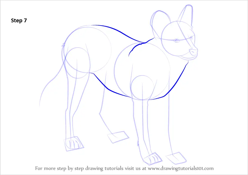 How to Draw a Dhole (Dogs) Step by Step | DrawingTutorials101.com