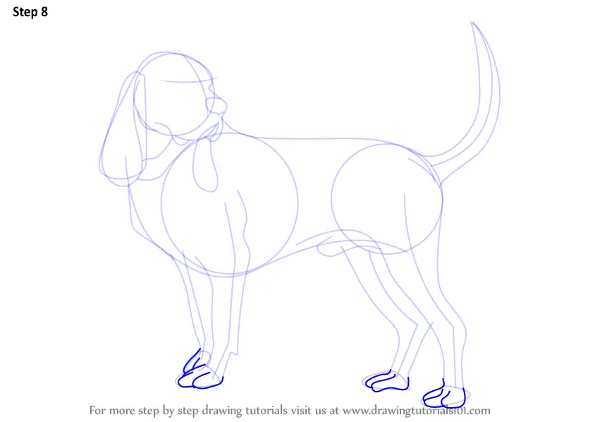 Learn How to Draw a Hound Dog (Dogs) Step by Step Drawing Tutorials