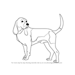 How to Draw a Hound Dog