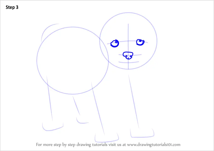 How to Draw a Maltese (Dogs) Step by Step | DrawingTutorials101.com