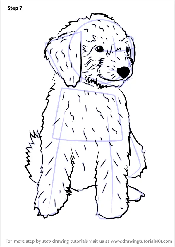 Learn How to Draw a Mini Goldendoodle (Dogs) Step by Step Drawing
