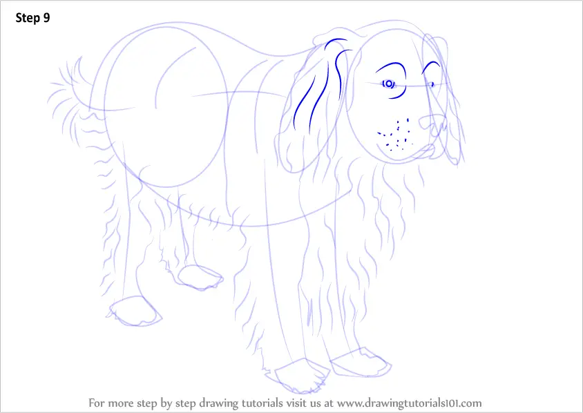 How to Draw a Newfoundland Dog (Dogs) Step by Step