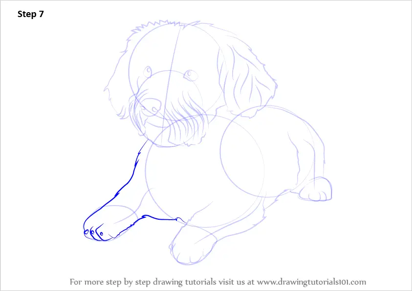 How to Draw a Schnoodle (Dogs) Step by Step | DrawingTutorials101.com