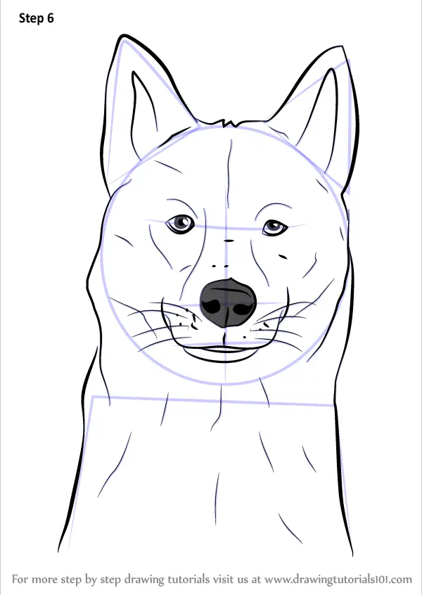 how to draw a husky puppy